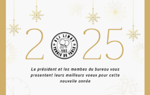 Bonne année 2025